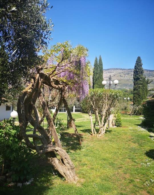 Villetta Blue Garden Sonnino Exteriör bild