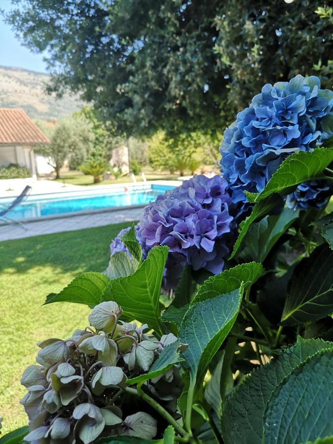 Villetta Blue Garden Sonnino Exteriör bild