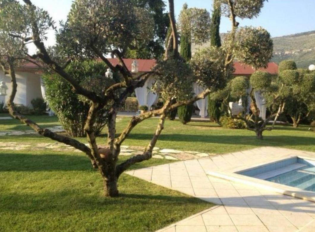 Villetta Blue Garden Sonnino Exteriör bild